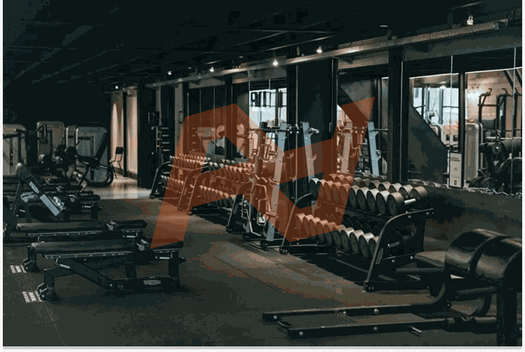 Pelegrini Fitness